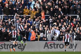 Newcastle United player ratings from Brighton win. (Photo by Stu Forster/Getty Images)