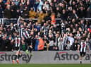 Newcastle United player ratings from Brighton win. (Photo by Stu Forster/Getty Images)
