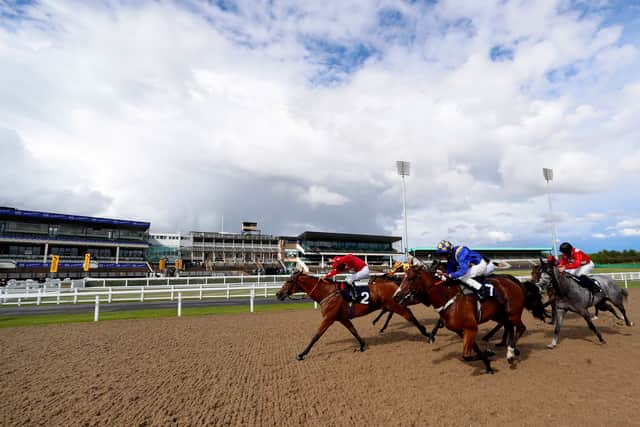 Head to the racing at Newcastle Racecourse (Image: Getty Images)