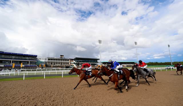 Head to the racing at Newcastle Racecourse (Image: Getty Images)