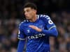 Newcastle United ‘stepping up’ interest in £25m Everton star