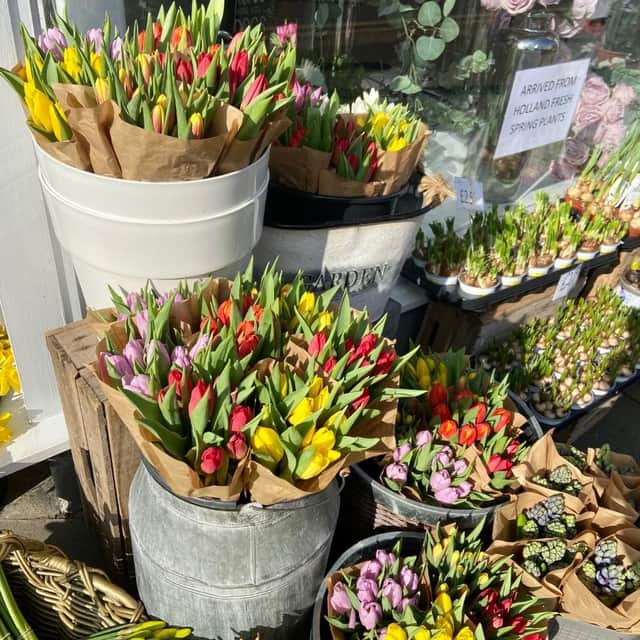 Katherine’s Florists (Photo from Katherine’s Florists)