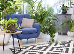 where to buy great living room chairs, from leather, deep seat, to mid century frames