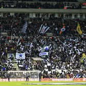 Wor Flags at St. James’ Park (Image: Getty Images)