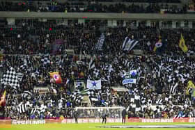Wor Flags at St. James’ Park (Image: Getty Images)