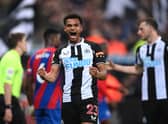 Newcastle United look to be all but safe from relegation and still have a chance of a top half finish this season 
