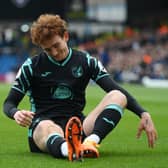 Norwich City forward Josh Sargent. (Photo by Michael Regan/Getty Images)