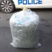 Cannabis seized by police in the North East