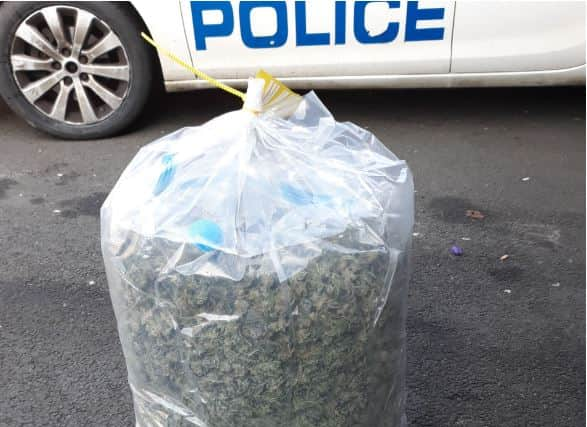 Cannabis seized by police in the North East