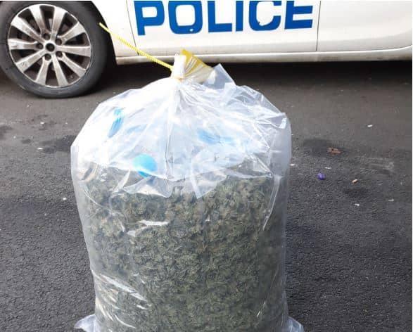 Cannabis seized by police in the North East