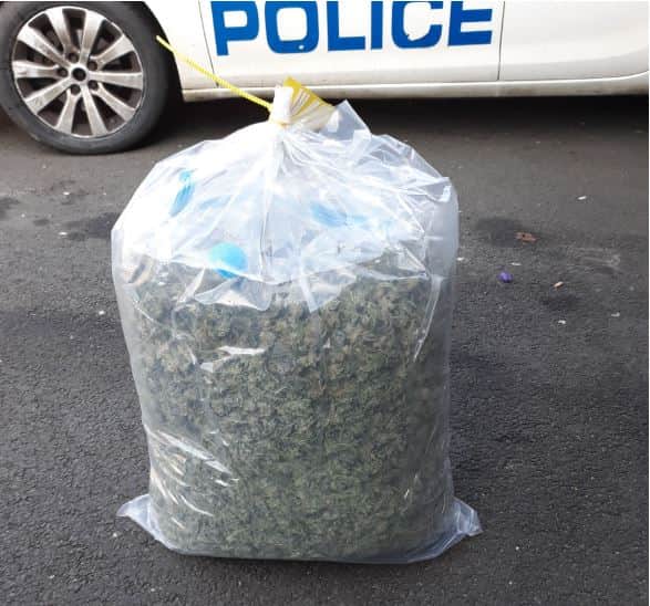 Cannabis seized by police in the North East