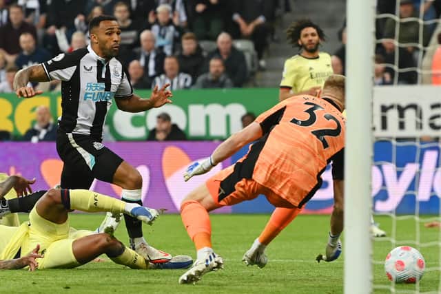 Callum Wilson has praised the Blackpool star
