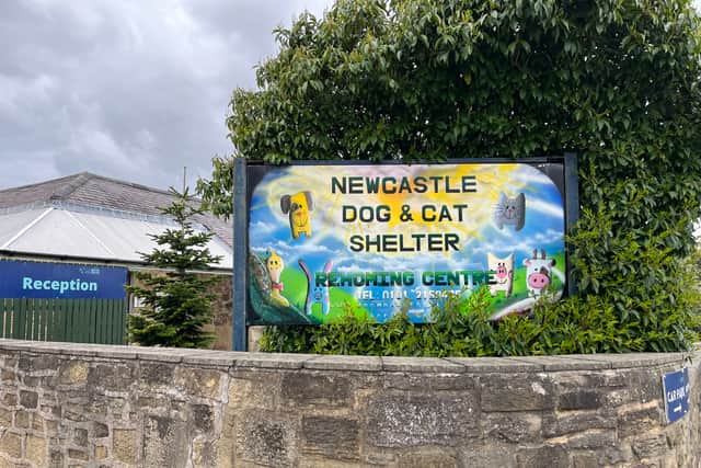 Newcastle Dog and Cat Shelter in Benton