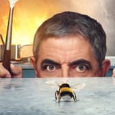 Rowan Atkinson as Trevor, peering over the kitchen counter about to swat the Bee (Credit: Netflix)