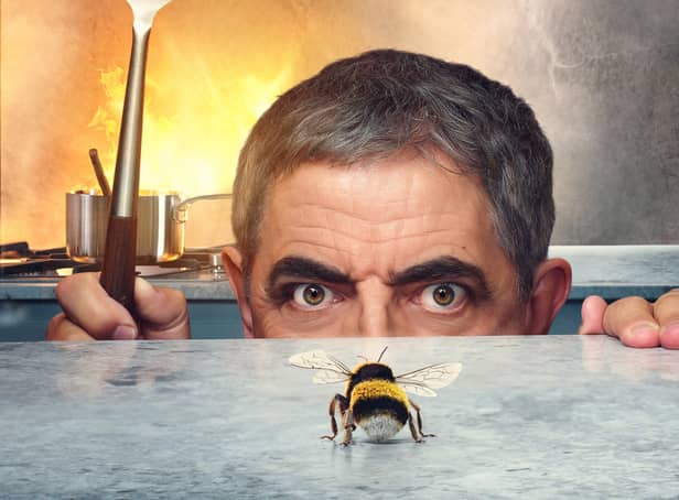 <p>Rowan Atkinson as Trevor, peering over the kitchen counter about to swat the Bee (Credit: Netflix)</p>