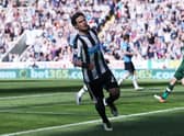Former Newcastle United right-back Daryl Janmaat has retired from football. 