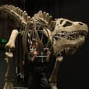 Dinosaurs and sea shanties will be on offer for this year’s South Tyneside Festival