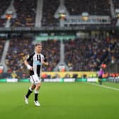 Matt Ritchie of Newcastle United prepares to take a corner kick during the Premier League match between Wolverhampton Wanderers and Newcastle United at Molineux on October 02, 2021 in Wolverhampton, England. 