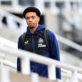 Newcastle United left-back Jamal Lewis. (Photo by Ian MacNicol/Getty Images)