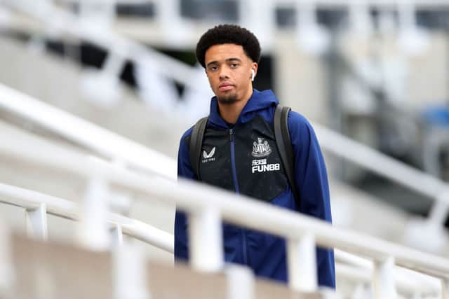 Newcastle United left-back Jamal Lewis. (Photo by Ian MacNicol/Getty Images)