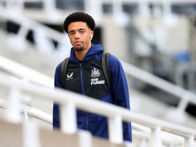 Newcastle United left-back Jamal Lewis. (Photo by Ian MacNicol/Getty Images)