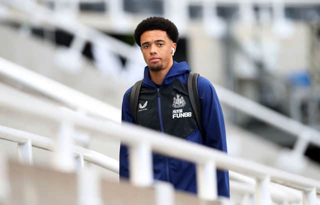 Newcastle United left-back Jamal Lewis. (Photo by Ian MacNicol/Getty Images)