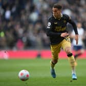 Newcastle United defender Javier Manquiilo. (Photo by Mike Hewitt/Getty Images)