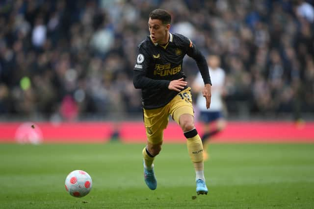 Newcastle United defender Javier Manquiilo. (Photo by Mike Hewitt/Getty Images)