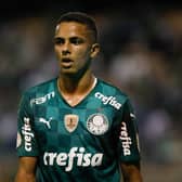 Palmeiras star Giovani is lined with Newcastle United. (Photo by Ricardo Moreira/Getty Images)