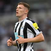 Newcastle United breakout star Elliot Anderson. (Photo by Stu Forster/Getty Images)