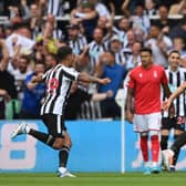 Newcastle United player ratings from the 2-0 win over Nottingham Forest. (Photo by Stu Forster/Getty Images)
