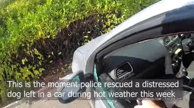 Officers smashed the car window to save the dog as temperatures hit 33C (Photo: Nottinghamshire Police/SWNS)