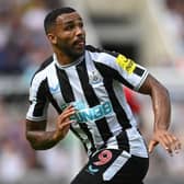 NEWCASTLE UPON TYNE, ENGLAND - AUGUST 06: Newcastle United player Callum Wilson in action during the Premier League match between Newcastle United and Nottingham Forest at St. James Park on August 06, 2022 in Newcastle upon Tyne, England. (Photo by Stu Forster/Getty Images)