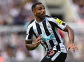NEWCASTLE UPON TYNE, ENGLAND - AUGUST 06: Newcastle United player Callum Wilson in action during the Premier League match between Newcastle United and Nottingham Forest at St. James Park on August 06, 2022 in Newcastle upon Tyne, England. (Photo by Stu Forster/Getty Images)