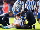 Brighton and Hove Albion star Jakub Moder.  (Photo by Warren Little/Getty Images)