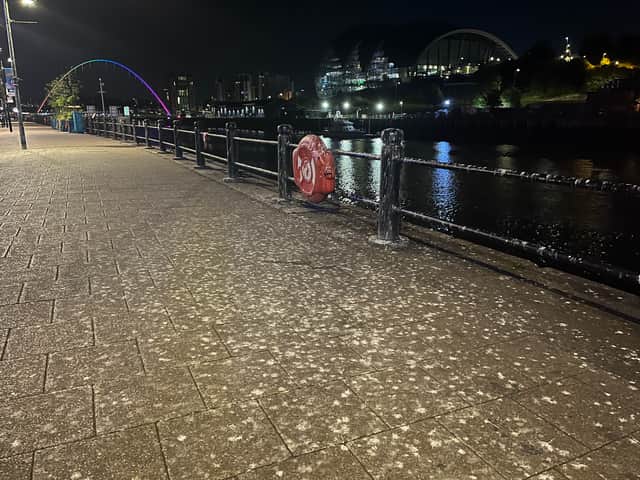 Bird poo on the Quayside