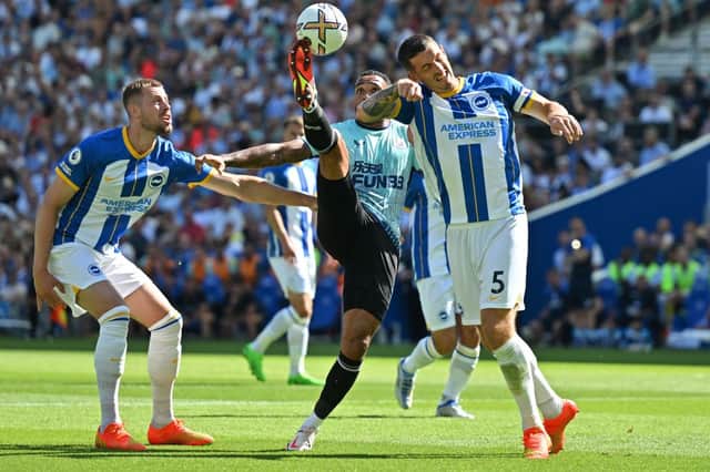 Newcastle United player ratings from the Brighton and Hove Albion clash.