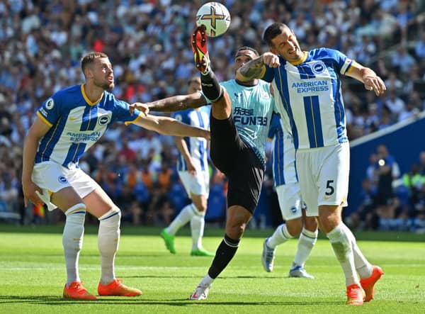 Newcastle United player ratings from the Brighton and Hove Albion clash. 