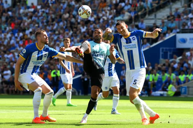 Callum Wilson of Newcastle United is challenged by Lewis Dunk and Adam Webster and Brighton & Hove Albion during the Premier League match between Brighton & Hove Albion and Newcastle United at American Express Community Stadium on August 13, 2022 in Brighton, England.