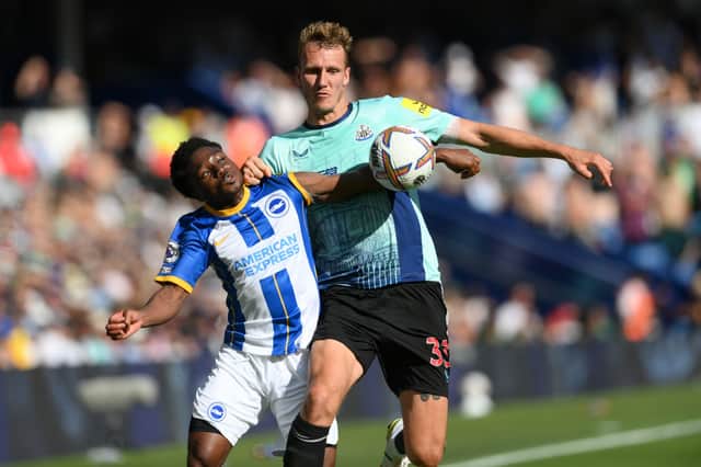 Newcastle United defender Dan Burn. (Photo by Mike Hewitt/Getty Images)