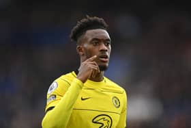 Chelsea winger Callum Hudson-Odoi. (Photo by Michael Regan/Getty Images)