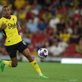 Watford forward Joao Pedro. (Photo by Richard Heathcote/Getty Images)