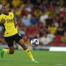 Joao Pedro is being linked with Newcastle