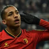 Watford forward Joao Pedro. (Photo by PAUL ELLIS/AFP via Getty Images)
