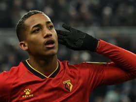 Watford forward Joao Pedro. (Photo by PAUL ELLIS/AFP via Getty Images)