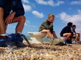 Members of Surfers Against Sewage hold a “toilet protest” August 8, 2001