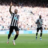 Newcastle United striker Callum Wilson. (Photo by Clive Brunskill/Getty Images)