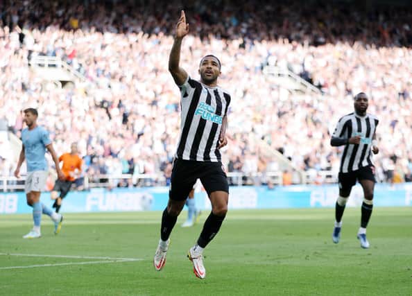 Newcastle United striker Callum Wilson. (Photo by Clive Brunskill/Getty Images)