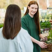Dobbies, Gosforth are hosting workshops