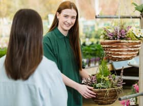 Dobbies, Gosforth are hosting workshops